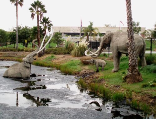 CityGuru Tar Pit?